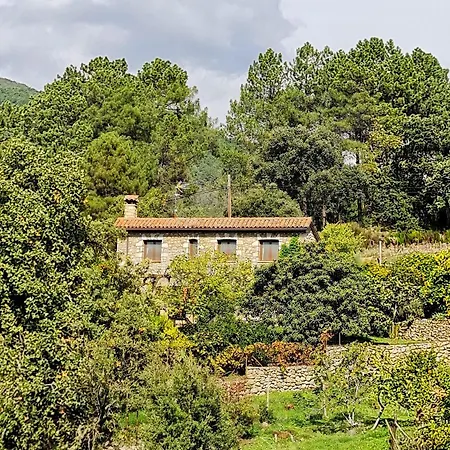 Casa Rural En Candeleda Con Piscina Y Un Maravilloso Jardin Buitenkant foto