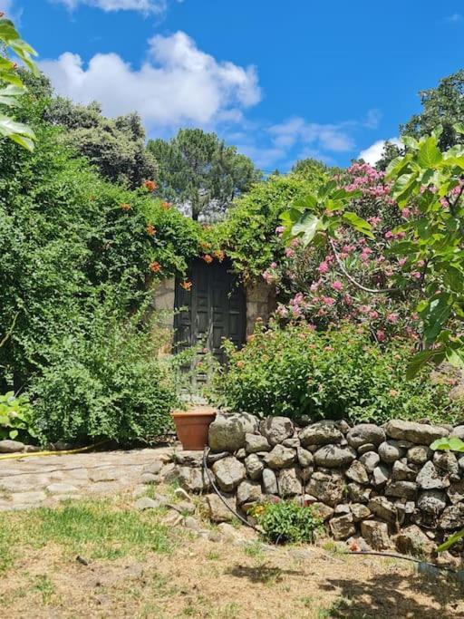 En Con Piscina Y Un Maravilloso Jardin Candeleda